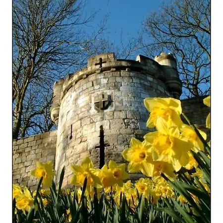 With Free Parking, 10 Min Walk To Bar Walls *