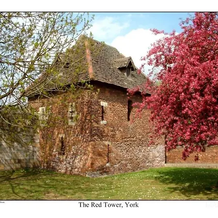 With Free Parking, 10 Min Walk To Bar Walls York