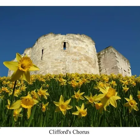 With Free Parking, 10 Min Walk To Bar Walls *